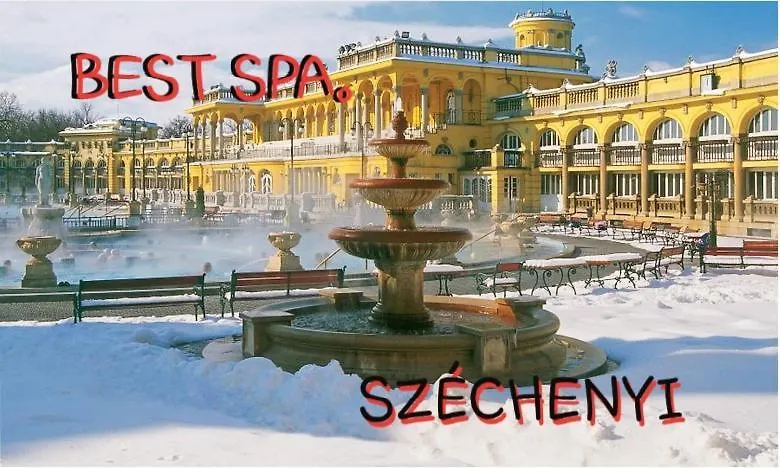 Downtown Acacia Str Apartment Budapest