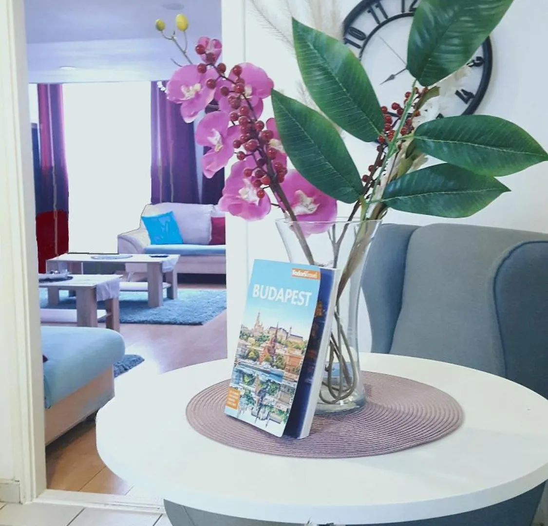 Downtown Acacia Str Apartment Budapest